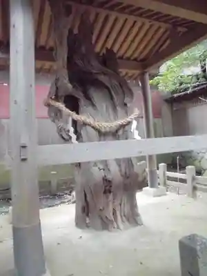 鶴嶺八幡宮のその他建物