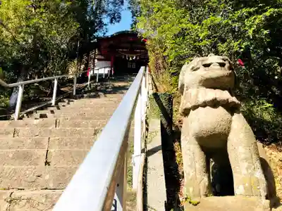宮崎天満宮の狛犬