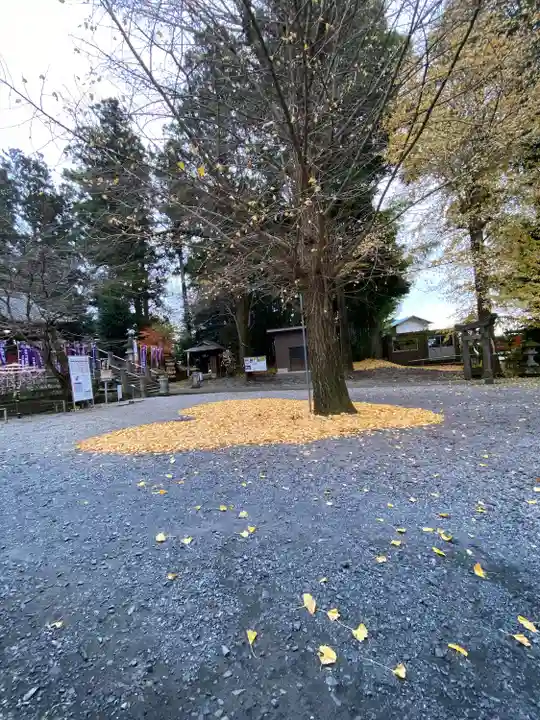 下野 星宮神社の芸術