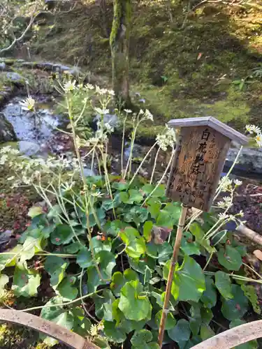 天龍寺(京都府)