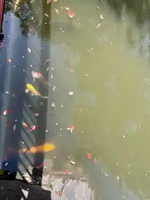 七渡神社（七渡弁天社）(東京都)