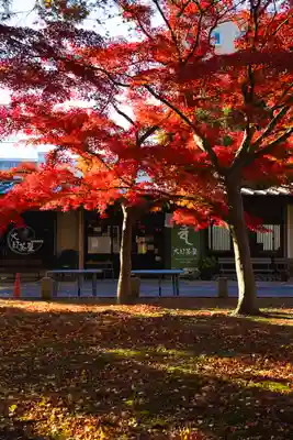 鑁阿寺(栃木県)