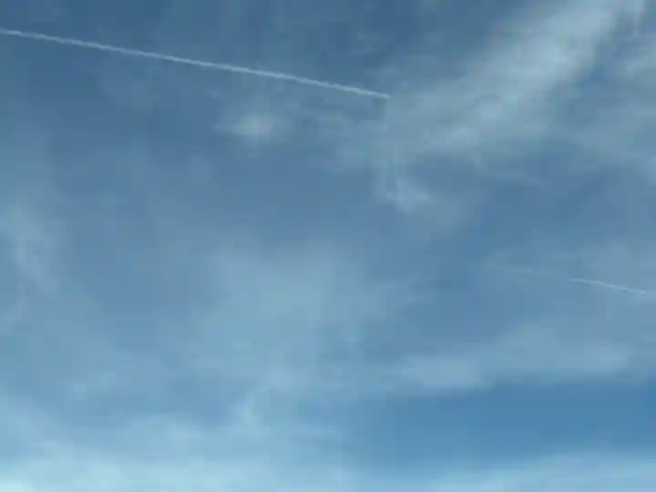 雀神社(茨城県)