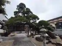 瑞光寺の庭園