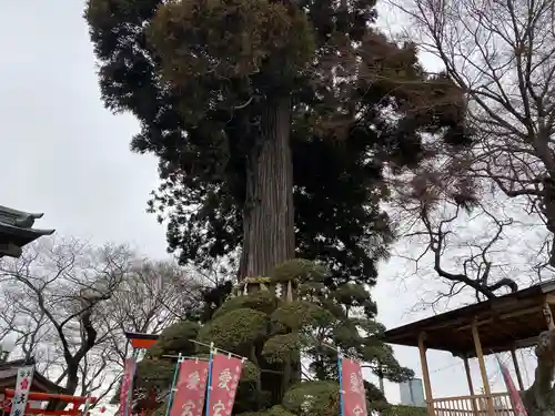 愛宕神社(宮城県)