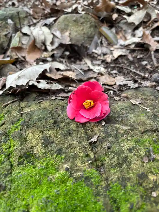 大日寺(兵庫県)