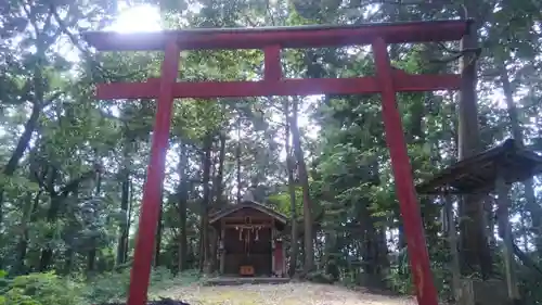 小丸山稲荷神社の鳥居