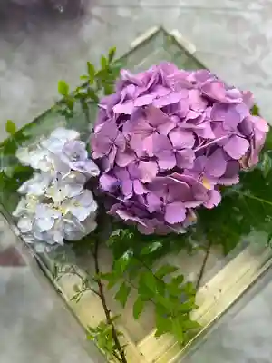 越谷香取神社(埼玉県)