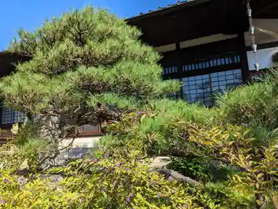祐正寺の庭園
