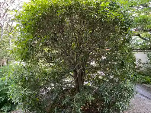 慈受院門跡(京都府)