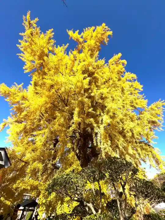丹生酒殿神社(和歌山県)