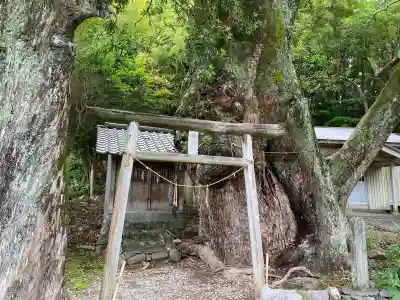 楠上神社(高知県)