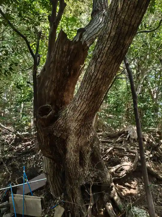 冨塚八幡宮(神奈川県)