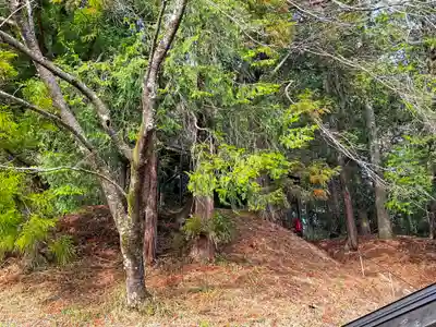 穂見諏訪十五所神社(山梨県)