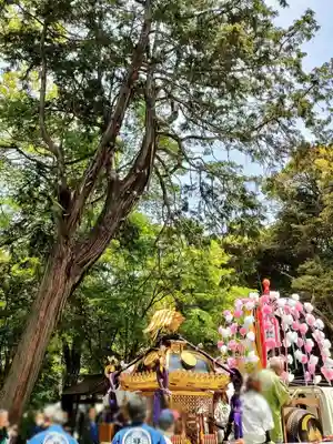 諏訪八幡神社のお祭り