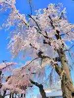 長松院(福島県)