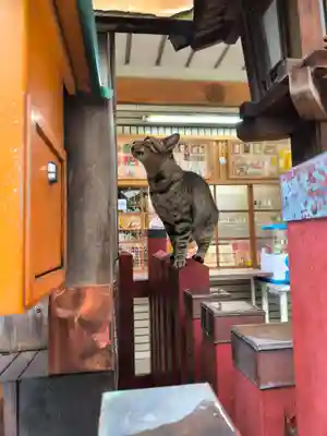 露天神社（お初天神）(大阪府)