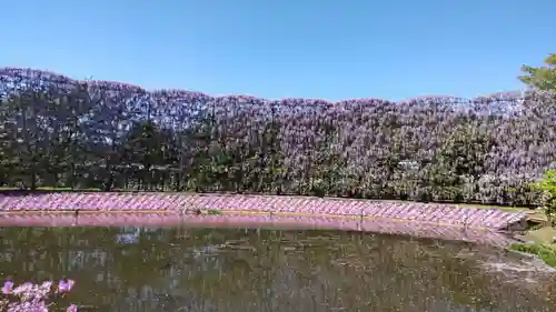足利織姫神社の周辺