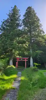 薬師神社(宮城県)