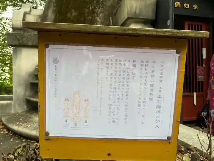 上野大佛(東京都)