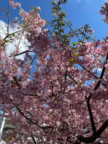 諏訪神社(東京都)