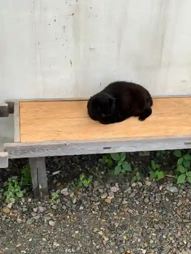 梅宮大社(京都府)