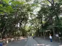 谷保天満宮の自然