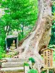 一ノ矢八坂神社(茨城県)