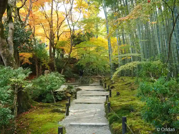 圓光寺(京都府)