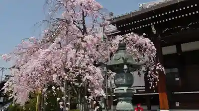 宥清寺のその他建物
