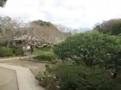 極楽寺（霊鷲山感應院極楽律寺）(神奈川県)