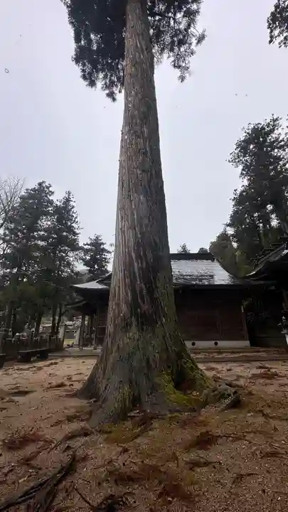 波賀八幡神社(兵庫県)