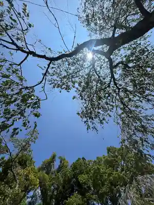 須走護國神社(静岡県)