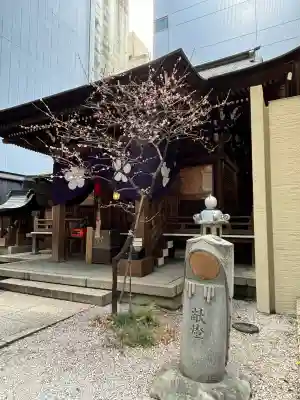 櫻天神社の{uncategorized: "未分類", other: "その他", undefined: "問題あり", building: "その他建物", grave: "お墓", sacred_gate: "鳥居", guardian: "狛犬", statue: "像", buddha: "仏像", history: "歴史", nature: "自然", garden: "庭園", animal: "動物", pagoda: "塔", temizu: "手水舎", mountain_gate: "山門・神門", sanctuary: "本殿・本堂", subordinate: "末社・摂社", art: "芸術", scenery: "景色", jizo: "地蔵", ema: "絵馬", goshuin: "御朱印", omikuji: "おみくじ", items: "授与品その他", amulet: "お守り", goshuincho: "御朱印帳", eats: "食事", festival: "お祭り", votive_dance: "神楽", shichigosan: "七五三参", wedding: "結婚式", experience: "体験その他", initially: "初詣", around: "周辺", anti_infection: "感染症対策"}