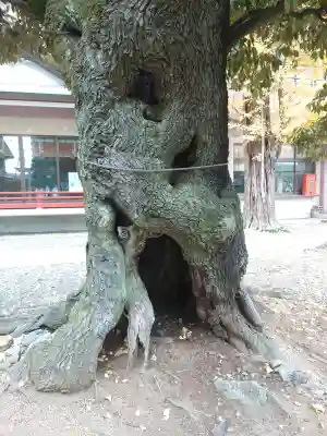 青砥神社の{uncategorized: "未分類", other: "その他", undefined: "問題あり", building: "その他建物", grave: "お墓", sacred_gate: "鳥居", guardian: "狛犬", statue: "像", buddha: "仏像", history: "歴史", nature: "自然", garden: "庭園", animal: "動物", pagoda: "塔", temizu: "手水舎", mountain_gate: "山門・神門", sanctuary: "本殿・本堂", subordinate: "末社・摂社", art: "芸術", scenery: "景色", jizo: "地蔵", ema: "絵馬", goshuin: "御朱印", omikuji: "おみくじ", items: "授与品その他", amulet: "お守り", goshuincho: "御朱印帳", eats: "食事", festival: "お祭り", votive_dance: "神楽", shichigosan: "七五三参", wedding: "結婚式", experience: "体験その他", initially: "初詣", around: "周辺", anti_infection: "感染症対策"}