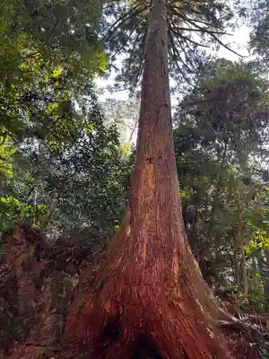 目の霊山 油山寺(静岡県)