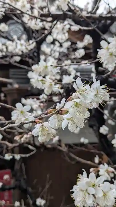 成道院(京都府)