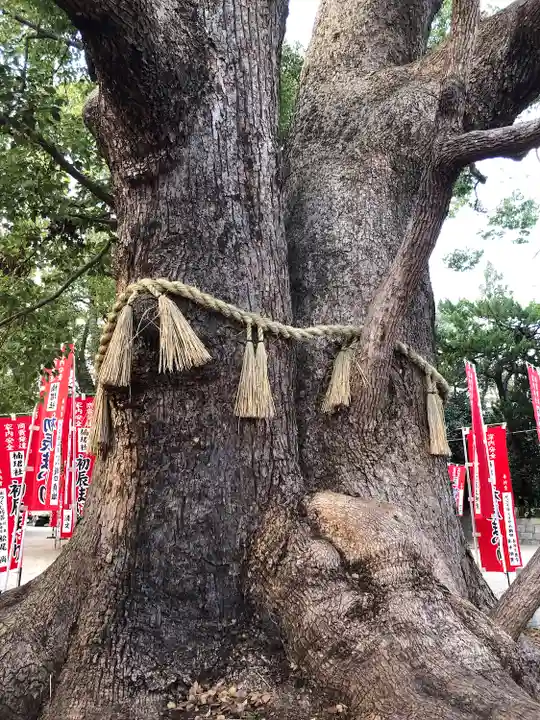 住吉大社の自然