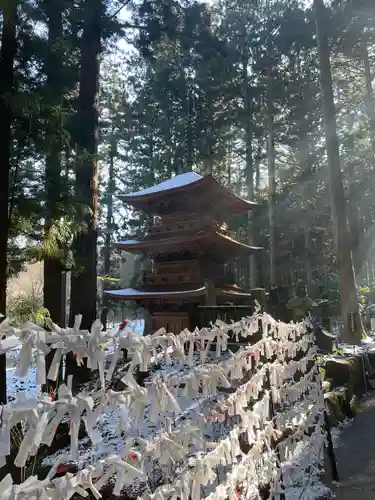 宝積山光前寺のおみくじ