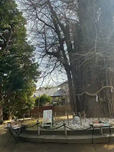 鶴嶺八幡宮の{uncategorized: "未分類", other: "その他", undefined: "問題あり", building: "その他建物", grave: "お墓", sacred_gate: "鳥居", guardian: "狛犬", statue: "像", buddha: "仏像", history: "歴史", nature: "自然", garden: "庭園", animal: "動物", pagoda: "塔", temizu: "手水舎", mountain_gate: "山門・神門", sanctuary: "本殿・本堂", subordinate: "末社・摂社", art: "芸術", scenery: "景色", jizo: "地蔵", ema: "絵馬", goshuin: "御朱印", omikuji: "おみくじ", items: "授与品その他", amulet: "お守り", goshuincho: "御朱印帳", eats: "食事", festival: "お祭り", votive_dance: "神楽", shichigosan: "七五三参", wedding: "結婚式", experience: "体験その他", initially: "初詣", around: "周辺", anti_infection: "感染症対策"}