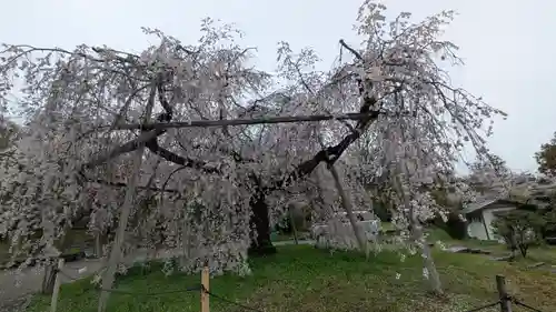 圓山稲荷(京都府)