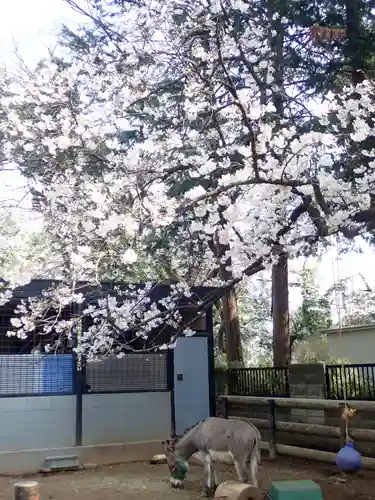 天照皇大神(神奈川県)