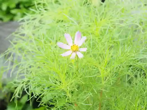 御霊神社の自然