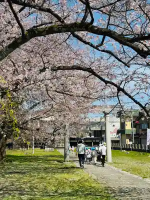 守りの神　藤基神社(新潟県)