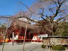 富士山本宮浅間大社の本殿