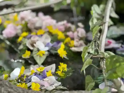 新倉富士浅間神社(山梨県)