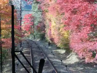 鞍馬寺(京都府)