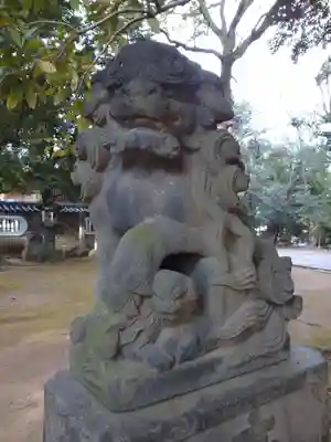 赤坂氷川神社の狛犬