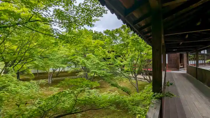 妙覺寺(妙覚寺)(京都府)