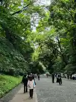 明治神宮(東京都)
